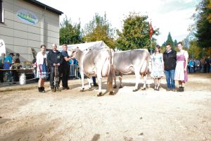 Champion und Vize Champion BS 